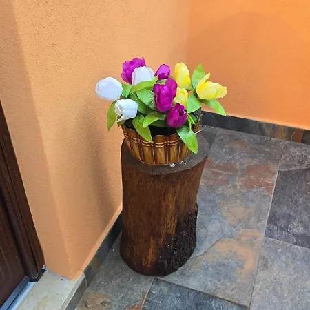 Il Richiamo Della Cascata *