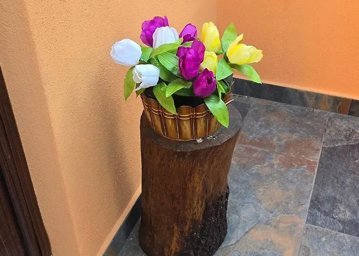 Il Richiamo Della Cascata *