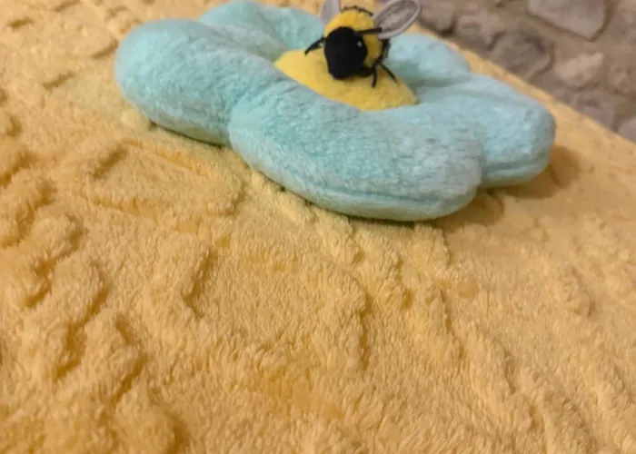 Il Richiamo Della Cascata Papigno